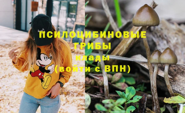 мдпв Куйбышев