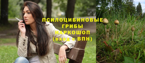 молекула духа Кукмор